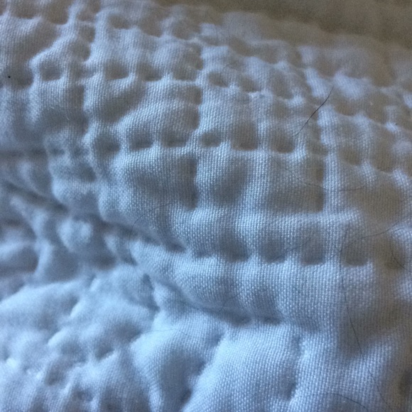 Meet your Posher, Tish - Picture 1 of 1